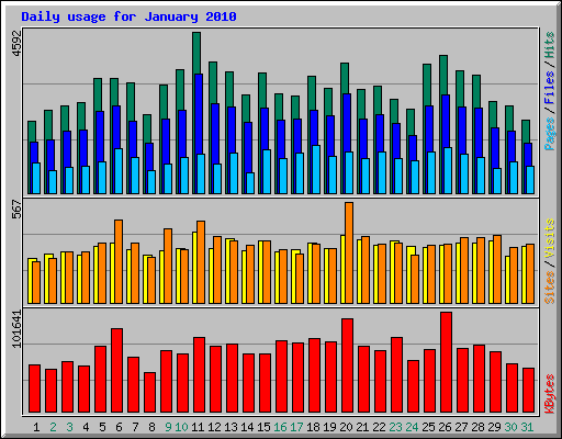 Daily usage for January 2010