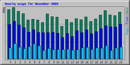 Hourly usage for November 2009