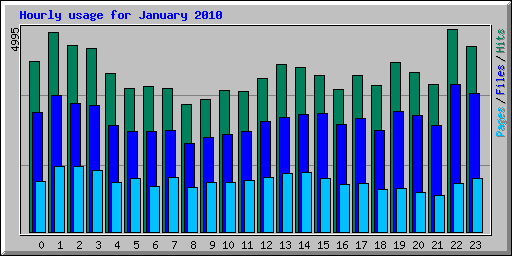 Hourly usage for January 2010